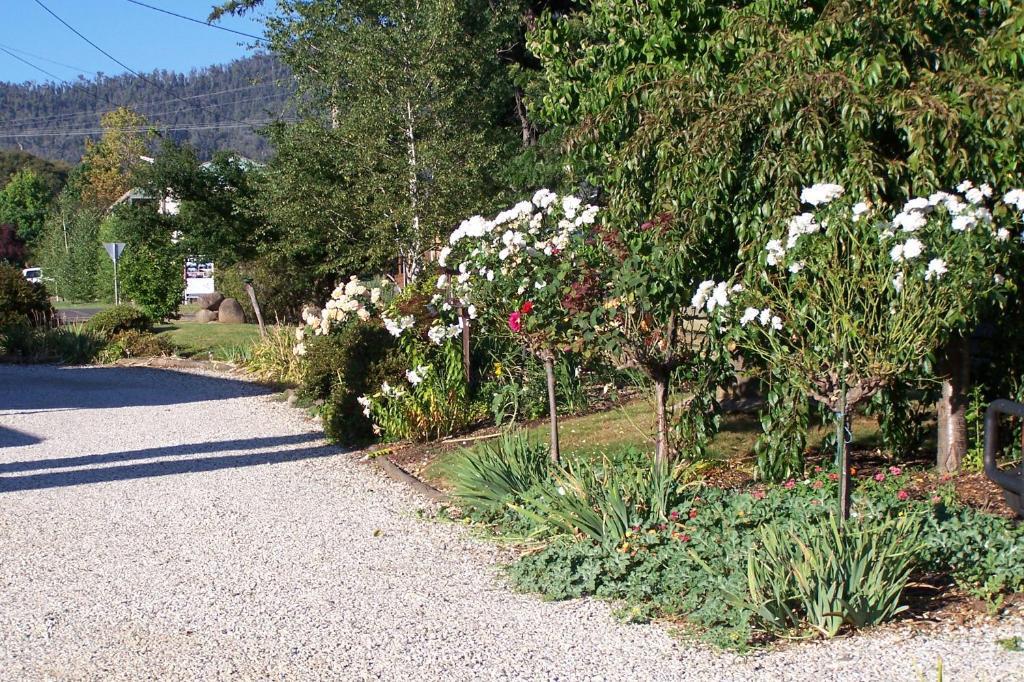 Bogong Moth Motel เมาท์บิวตี ภายนอก รูปภาพ